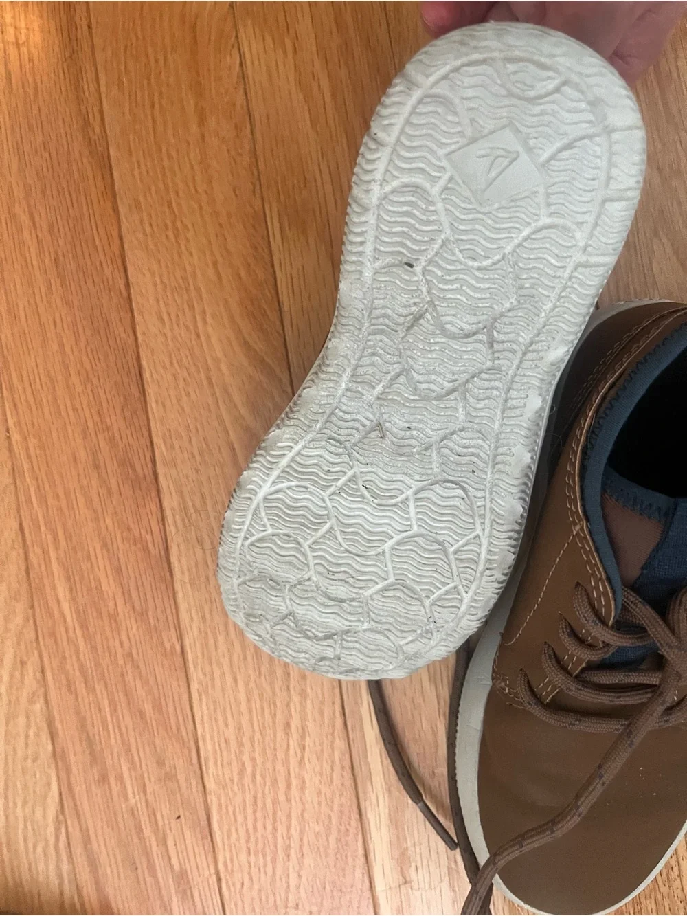 Sperry Brown and Navy Kids Dress Shoes